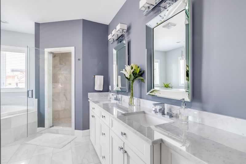 Vanity and Countertop Upgrades