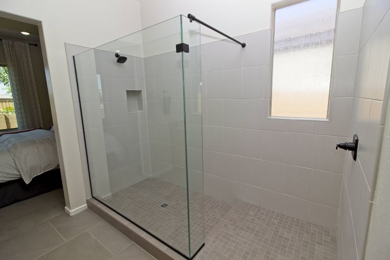 Contemporary Shower with Glass Enclosure